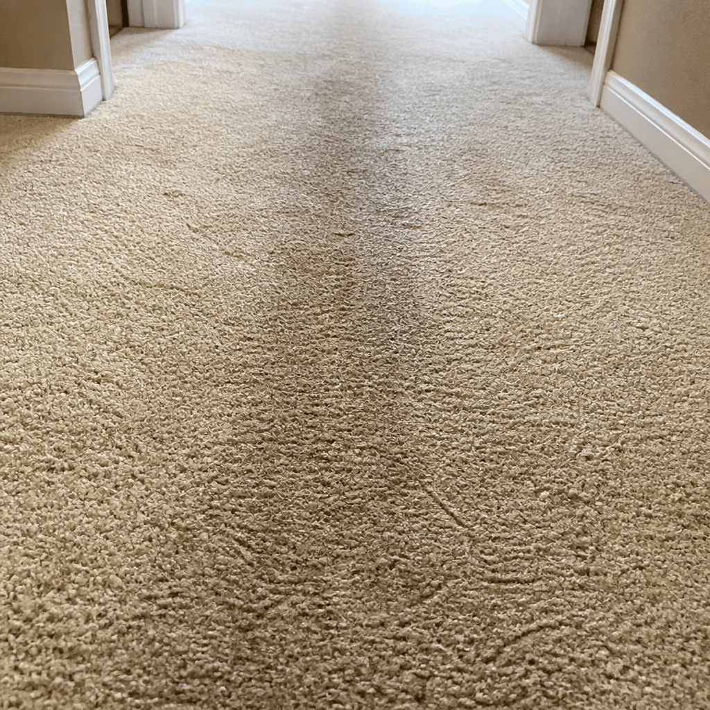 Beige carpet hallway with a darker high-traffic lane down the middle